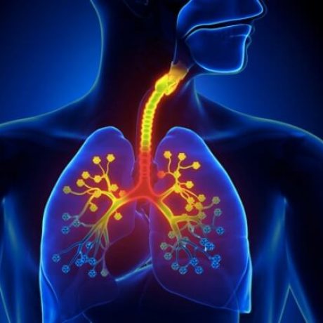 Respiratory-Disorder